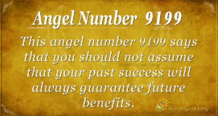 9199 angel number