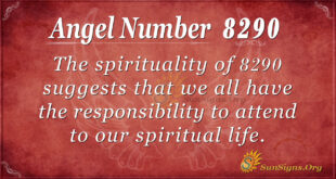 8290 angel number