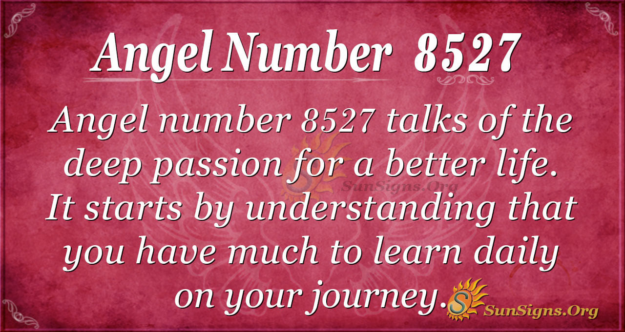 Angel Number 8527 Meaning: Passion In Life - SunSigns.Org