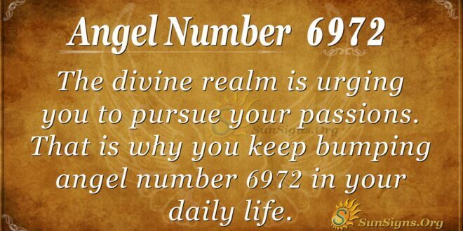 6972 angel number