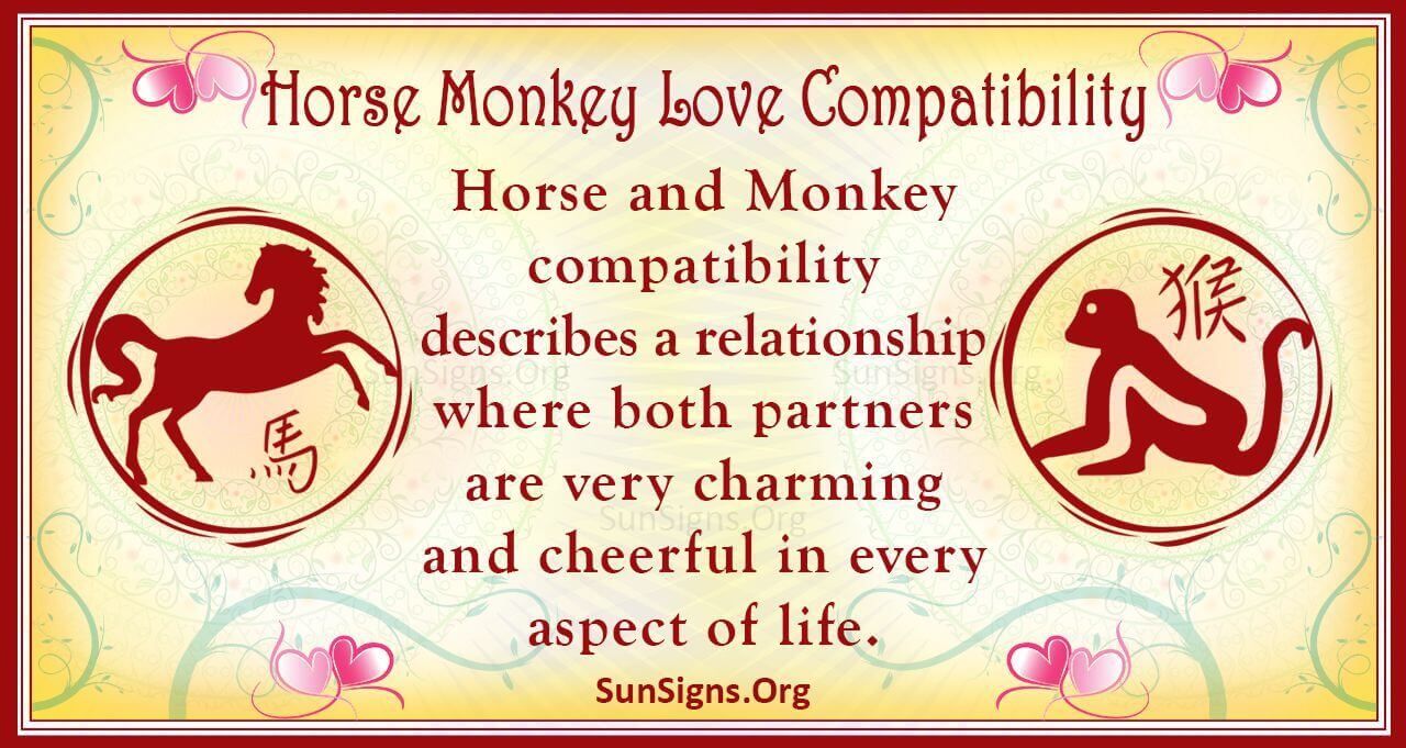 Horse And Monkey Compatibility Amusing Attraction