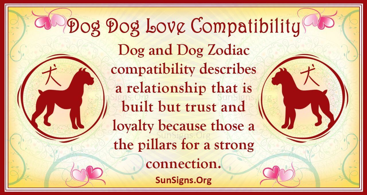 Dog And Dog Compatibility Fulfilling Connection SunSigns Org