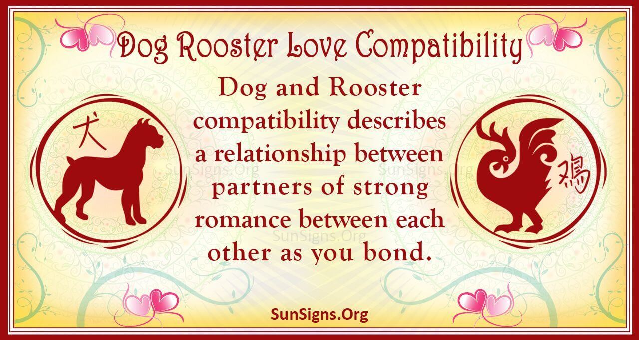 Dog And Rooster Compatibility: Ethical Connection - SunSigns.Org