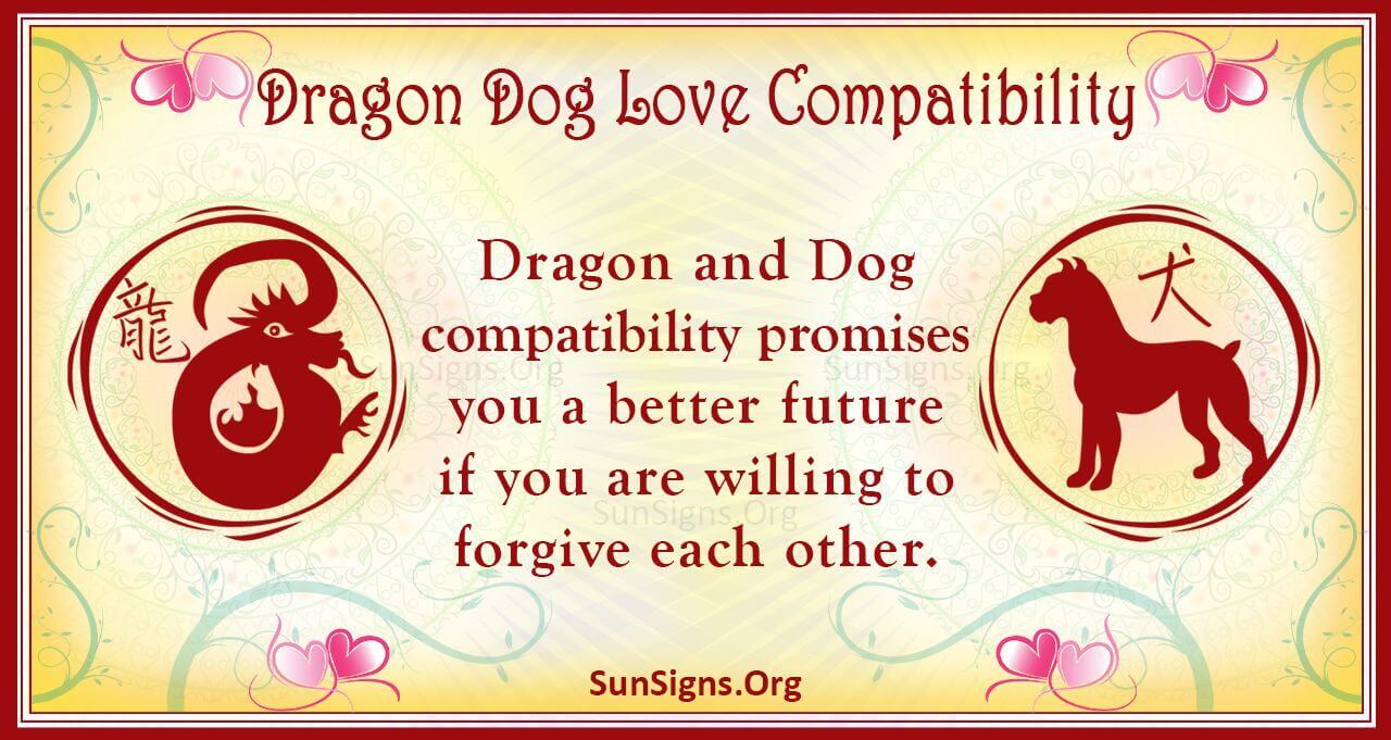 is-dog-and-dragon-compatible