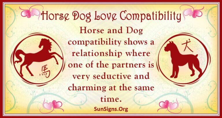 horse-and-dog-compatibility-a-dreamy-connection-sunsigns-org