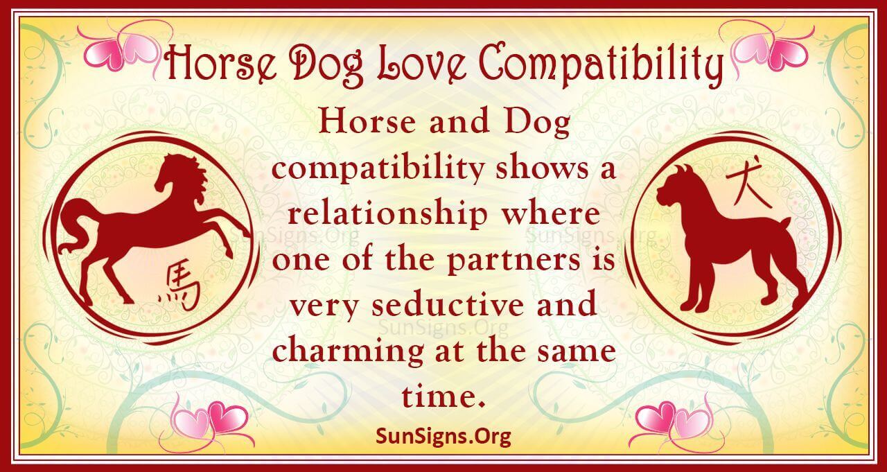 Horse And Dog Compatibility A Dreamy Connection SunSigns.Org