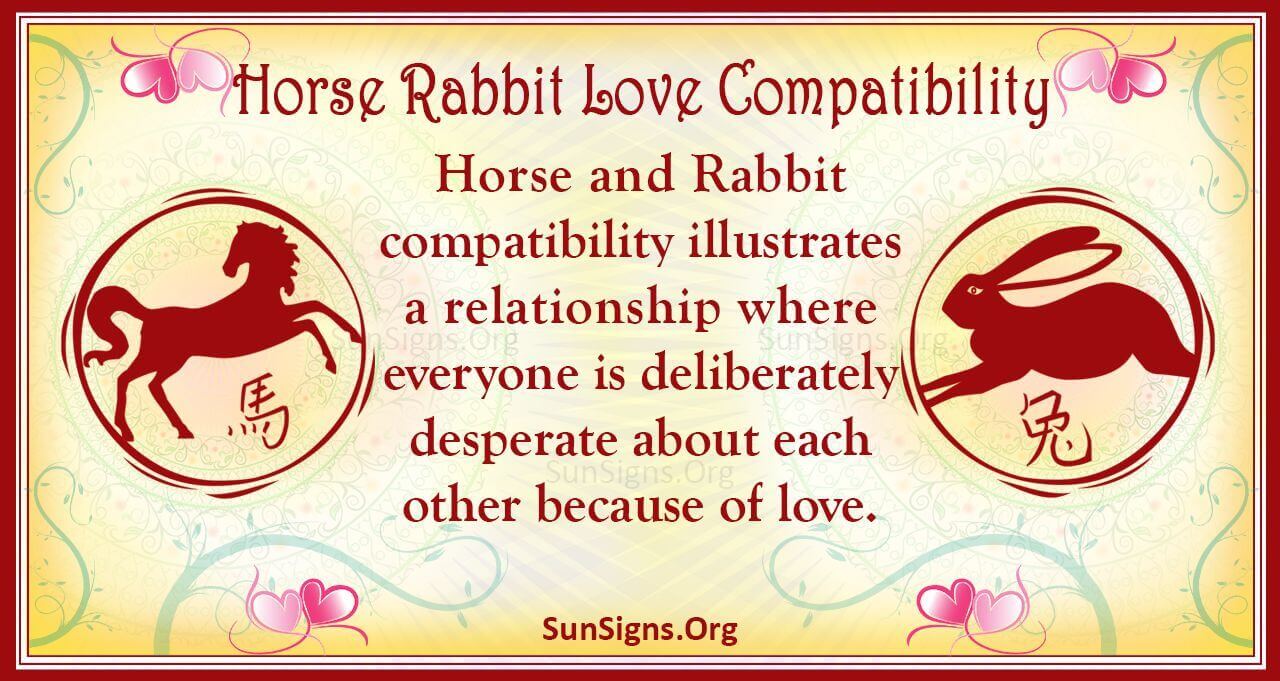 Horse And Rabbit Compatibility Warm And Lovely