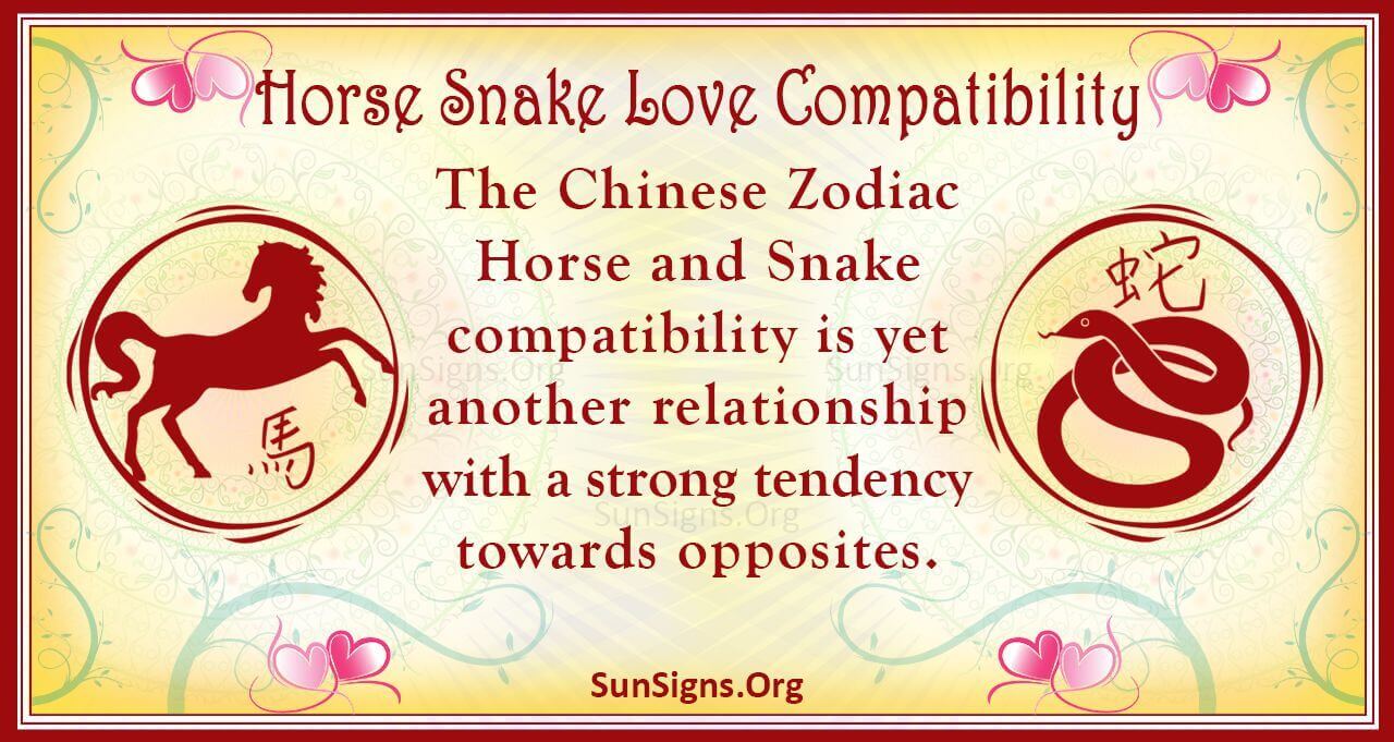 Horse And Snake Compatibility Contented Relationship