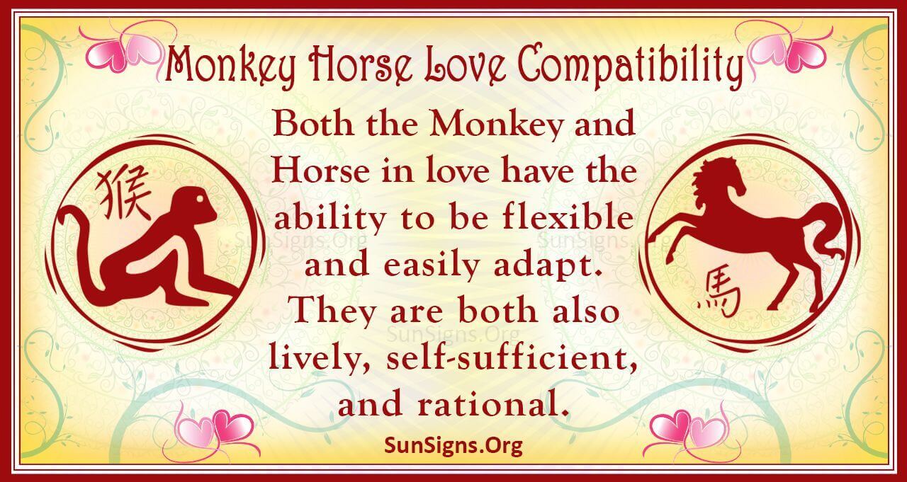 Monkey And Horse Compatibility: Sweet And Friendly - SunSigns.Org