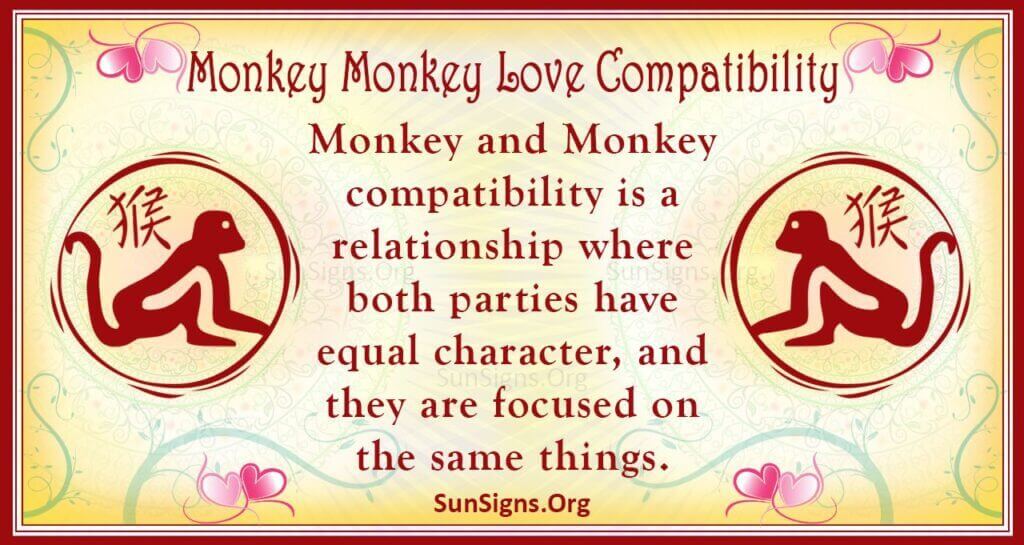 monkey-and-monkey-compatibility-seductive-connection-sunsigns-org