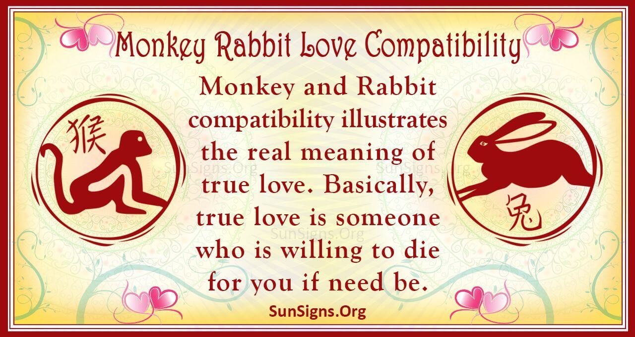 monkey-and-rabbit-compatibility-creative-bonding-sunsigns-org