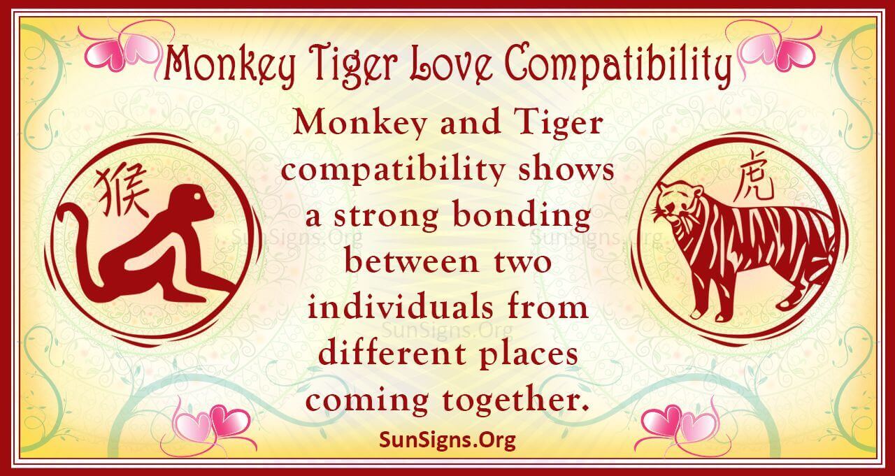 Monkey And Tiger Compatibility Cheeky Connection