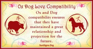 ox dog compatibility