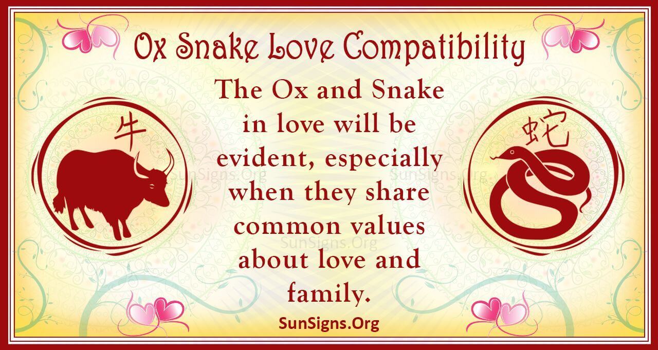 ox-and-snake-compatibility-long-term-love-sunsigns-org