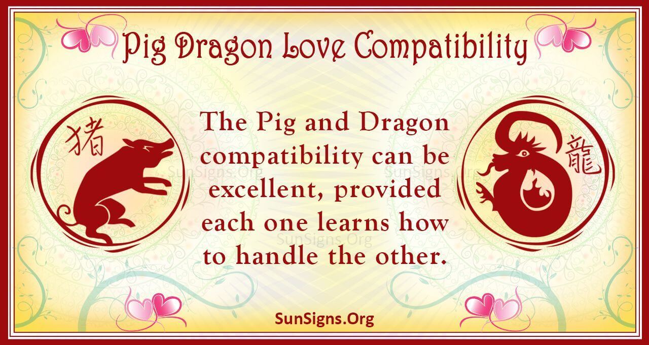 pig-and-dragon-compatibility-steamy-love-sunsigns-org