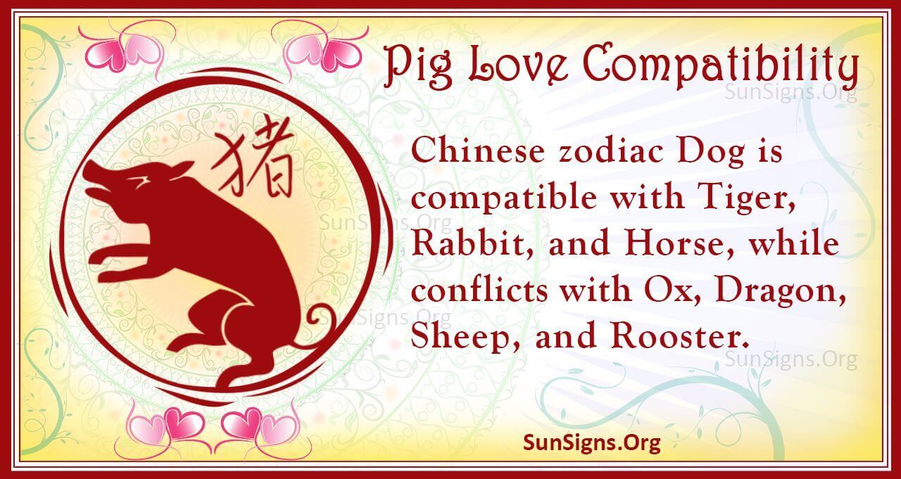 Chinese Pig Zodiac Compatibility Who Should A Pig Marry?