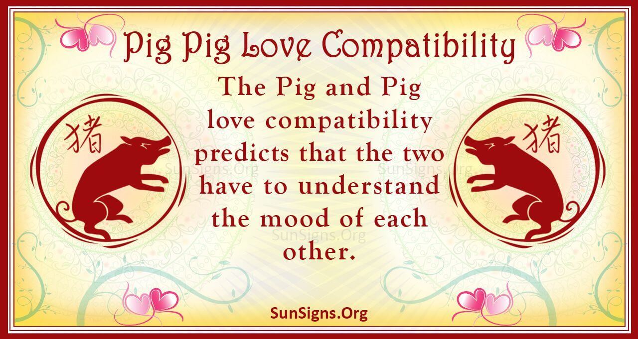 pig-and-pig-compatibility-drive-to-explore-sunsigns-org