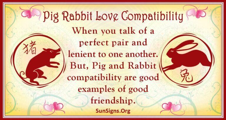 rabbit-and-rabbit-compatibility-in-love-life-trust-intimacy-rabbit