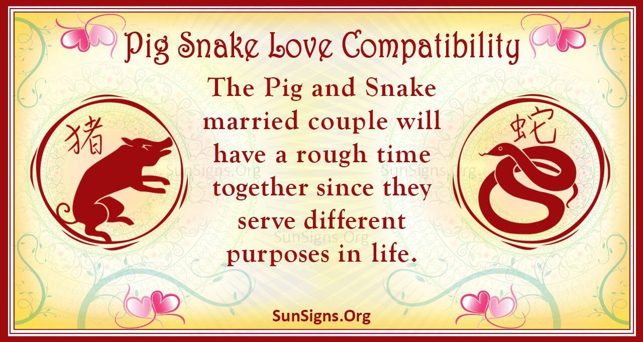 pig-and-snake-compatibility-genuine-love-sunsigns-org