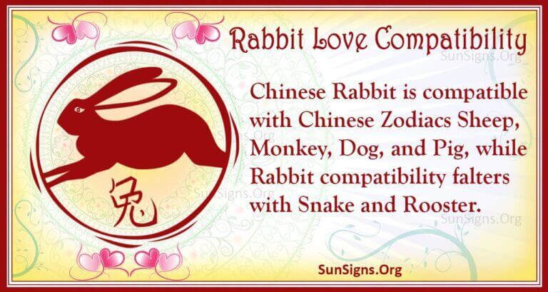 rabbit-and-dragon-love-compatibility-a-humble-relationship