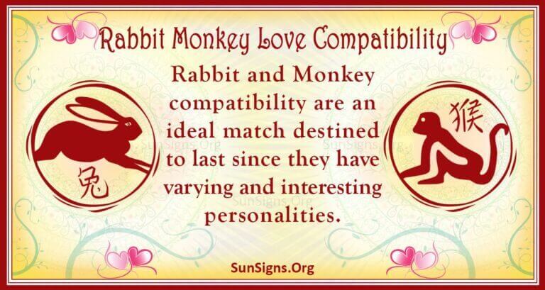 Is Monkey And Rabbit Compatible