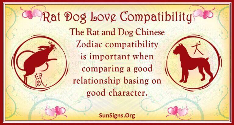 Rat And Dog Compatibility: A Great Couple - SunSigns.Org