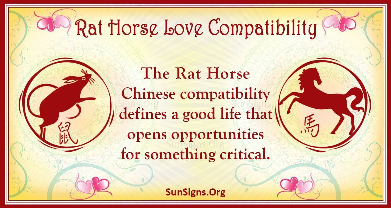 Rat And Horse Compatibility: A Great Pair - SunSigns.Org