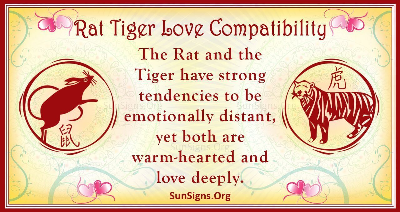 rat-and-tiger-compatibility-exciting-love-sunsigns-org