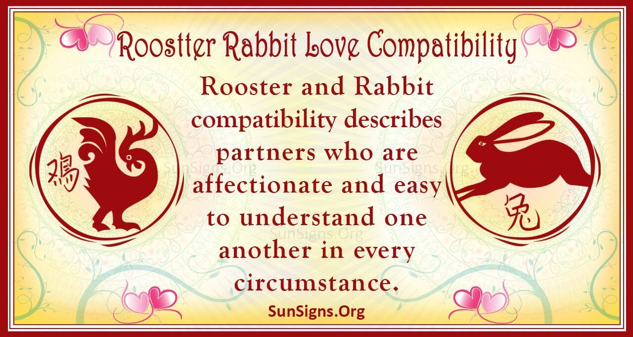 Rooster And Rabbit Compatibility A Moving Attraction