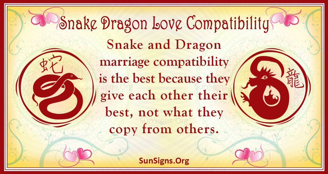 Snake And Dragon Compatibility A Good Link