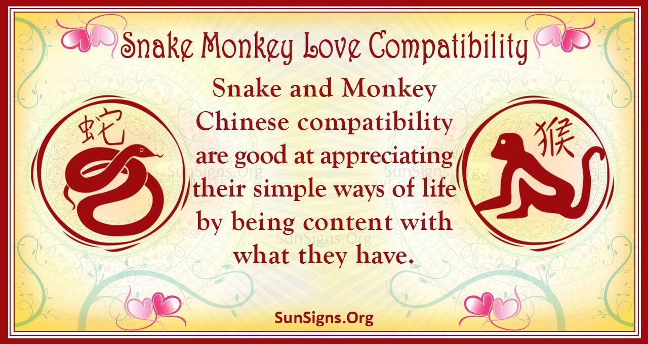 Snake And Monkey Compatibility: Mixed Feelings - SunSigns.Org