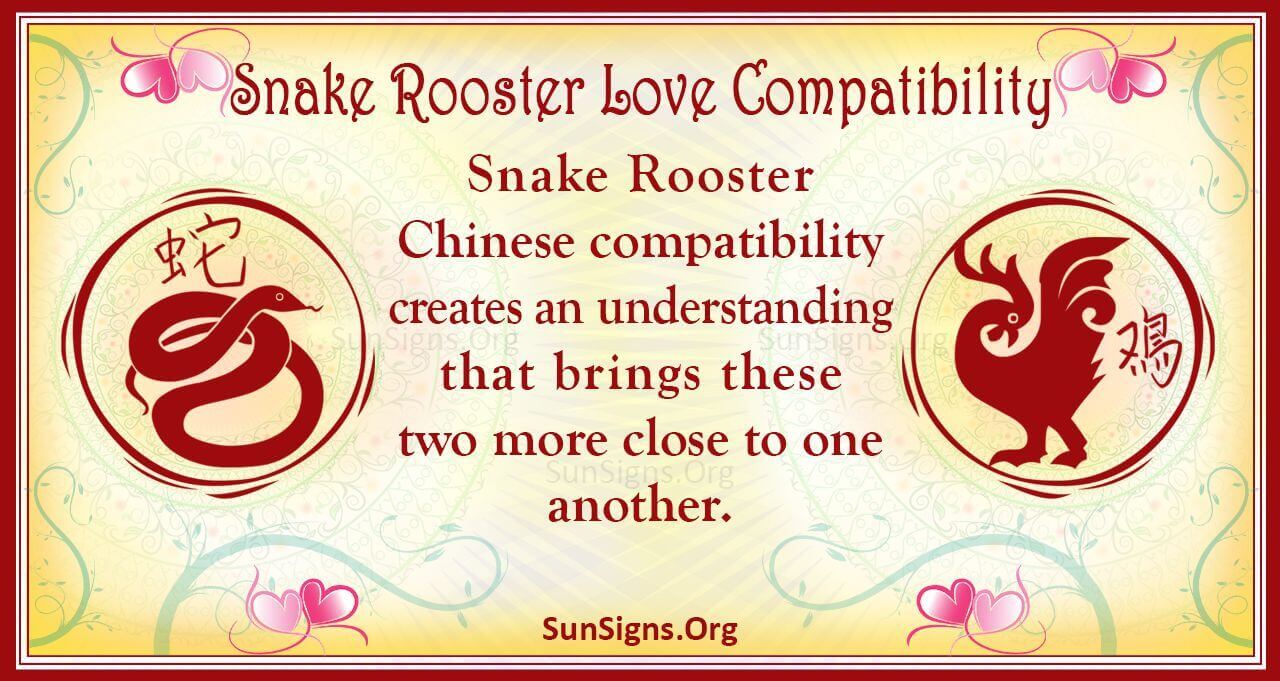 snake-and-rooster-compatibility-a-matching-fit-sunsigns-org