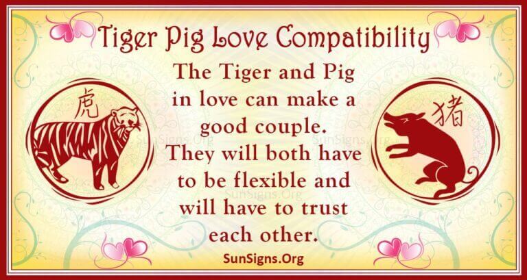 tiger-and-pig-compatibility-sensational-union-sunsigns-org