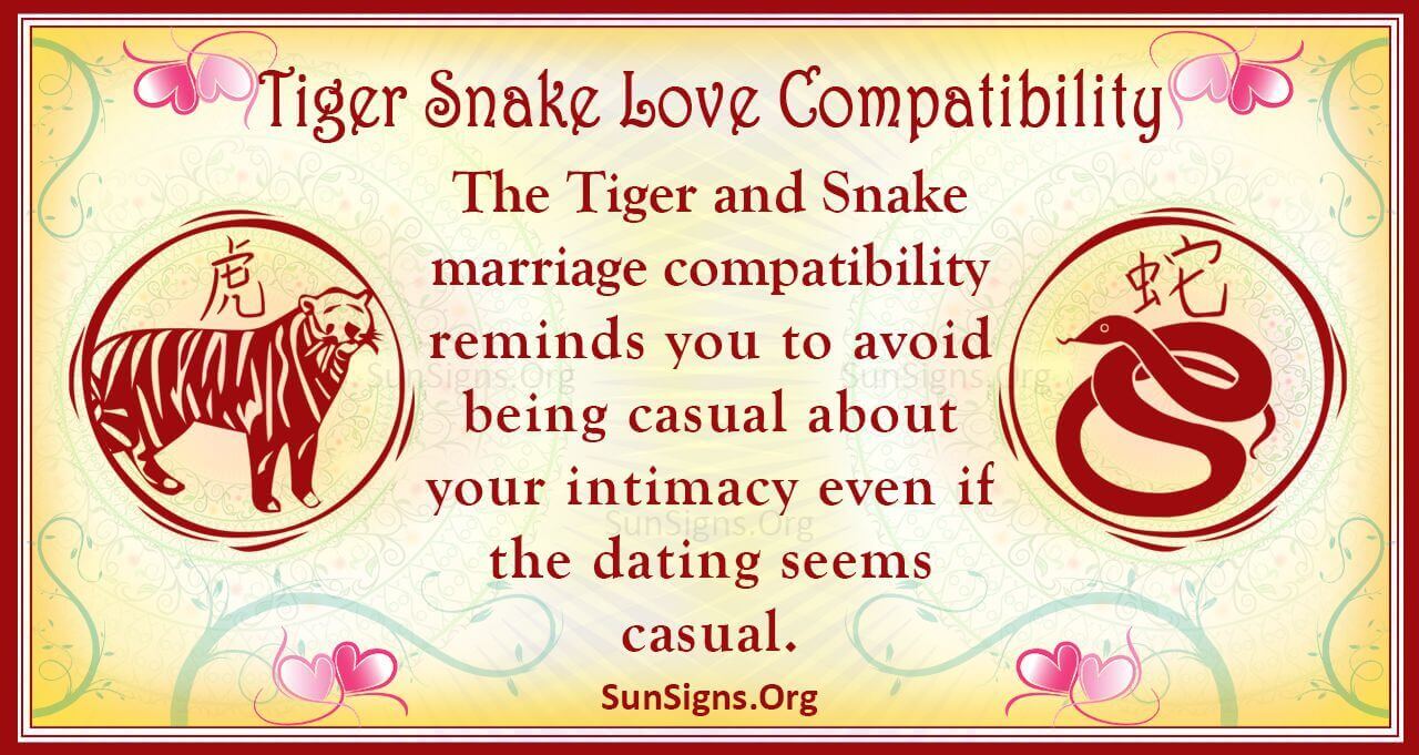 Tiger And Snake Compatibility: Casual Bonding - SunSigns.Org