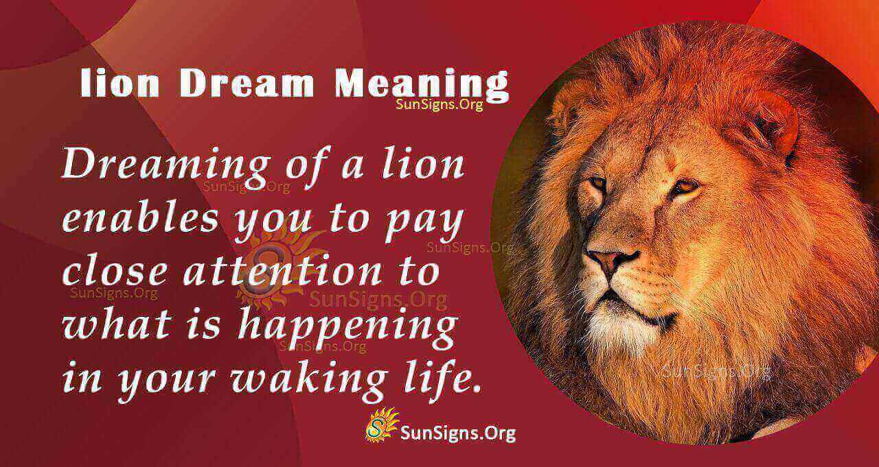 What Does Dreaming Of A Lion Mean Meaning Interpretation And Symbolism Sunsignsorg 