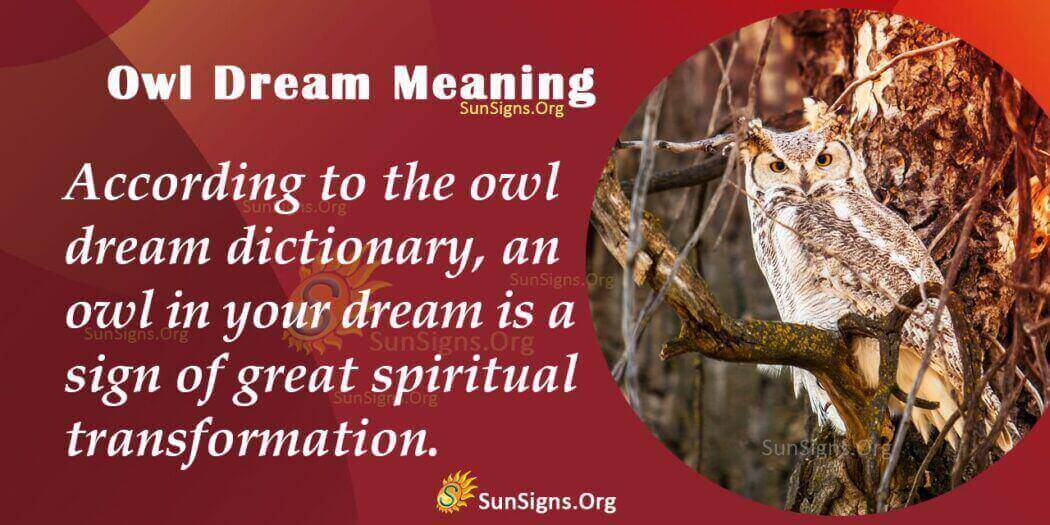 Seeing An Owl In Your Dream - Meaning, Interpretation And Symbolism ...