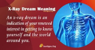 X-Ray Dream Meaning