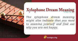 Xylophone Dream Meaning