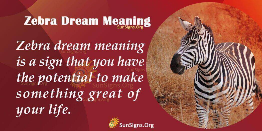 what-does-zebra-in-a-dream-symbolize-meaning-interpretation-and