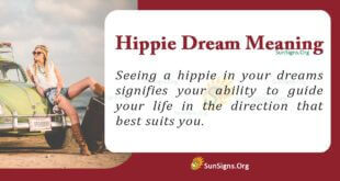 Hippie Dream Meaning