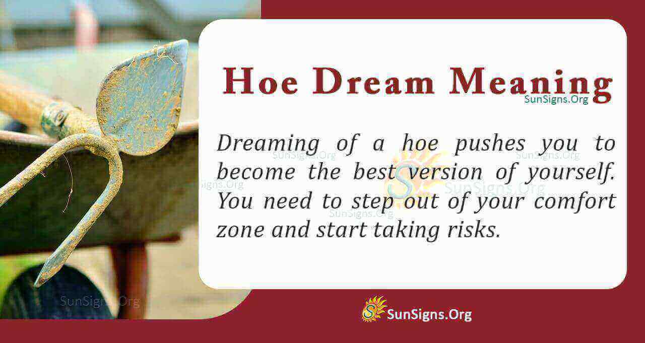 The meaning 2024 of hoe