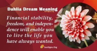 Dahlia Dream Meaning