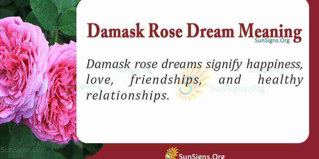 dreaming-of-damask-rose-meaning-interpretation-and-symbolism