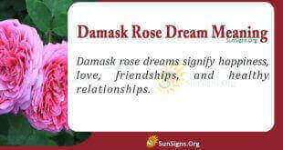 Damask Rose Dream Meaning