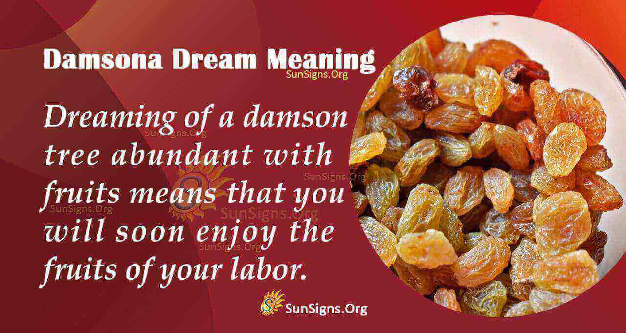 seeing-a-damson-in-your-dream-meaning-interpretation-and-symbolism