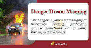 Danger Dream Meaning