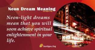 Neon Dream Meaning