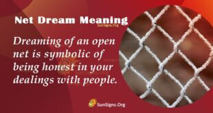 Net Dream Meaning