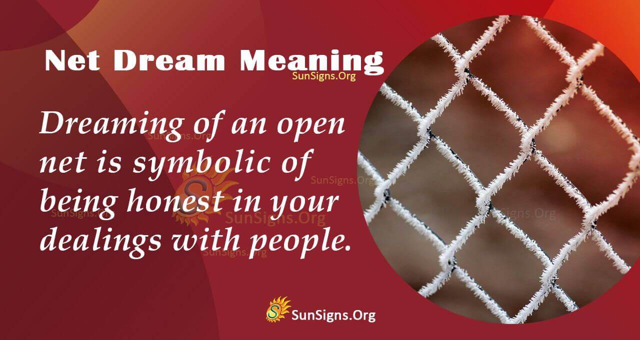 Meaning Of A Net Dream Interpretation And Symbolism SunSigns Org