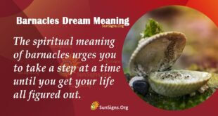 Barnacles Dream Meaning